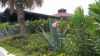Filename=000-Beldibi-Blumen-Meer.jpg
Filesize=111KiB
Dimensions=555x313
Date added=Oct 10, 2017 000-Beldibi-Blumen-Meer.jpg