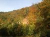 Filename=000-Odenwald-Herbst-buntes-Laub-Neckartal.JPG
Filesize=128KiB
Dimensions=523x392
Date added=Oct 13, 2017 000-Odenwald-Herbst-buntes-Laub-Neckartal.JPG