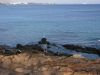 Angeln-Steinstrand-Playa-Blanca-Lanzarote.JPG