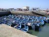 Filename=Fischer-Boote-Hafen-Essaouirra-Marokko.JPG
Filesize=86KiB
Dimensions=690x518
Date added=Oct 01, 2011 Fischer-Boote-Hafen-Essaouirra-Marokko.JPG