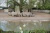 Filename=Nashoerner-Tierpark-Zoo-Heidelberg.JPG
Filesize=81KiB
Dimensions=700x467
Date added=May 02, 2012 Nashoerner-Tierpark-Zoo-Heidelberg.JPG