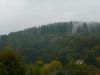 Odenwald-Naturpark-Foto-Wald.JPG