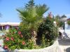 Filename=Pflanzen-Welt-Kos-Mastihari-Lido-Waterpark.JPG
Filesize=192KiB
Dimensions=568x426
Date added=Jan 02, 2011 Pflanzen-Welt-Kos-Mastihari-Lido-Waterpark.JPG