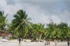 Recife-Brasilien-Foto-Urlaub-Palmen-Strand-Meer[1].jpg