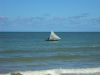 Filename=Segeln-Kueste-Recife-Brasilien.JPG
Filesize=76KiB
Dimensions=690x518
Date added=Sep 25, 2011 Segeln-Kueste-Recife-Brasilien.JPG