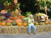 Filename=Tripsdrill-Freizeitpark-im-Herbst.JPG
Filesize=88KiB
Dimensions=700x525
Date added=Jul 23, 2012 Tripsdrill-Freizeitpark-im-Herbst.JPG