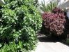 Filename=garten-innenhof-druckerei-casablanca-marokko.JPG
Filesize=40KiB
Dimensions=224x168
Date added=May 24, 2010 garten-innenhof-druckerei-casablanca-marokko.JPG