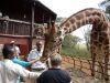 Filename=giraffen-fuettern-lake-nakuru-national-park.jpg
Filesize=95KiB
Dimensions=588x441
Date added=Feb 21, 2011 giraffen-fuettern-lake-nakuru-national-park.jpg