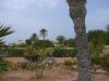 Filename=landschaft-urlaubsbild- insel-djerba-tunesien.JPG
Filesize=102KiB
Dimensions=512x384
Date added=Jun 11, 2010 landschaft-urlaubsbild- insel-djerba-tunesien.JPG