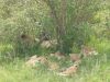 loewen-familie-kenia-safari.jpg