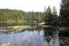 Filename=suedseite-arber-see-bergsee-bayerischer-wald.jpg
Filesize=64KiB
Dimensions=694x463
Date added=Sep 02, 2011 suedseite-arber-see-bergsee-bayerischer-wald.jpg