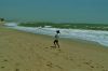 Filename=urlaub-algarve-atlantik-sandstrand-armacao-de-pera.JPG
Filesize=55KiB
Dimensions=450x300
Date added=Jun 02, 2010 urlaub-algarve-atlantik-sandstrand-armacao-de-pera.JPG