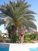 Filename=urlaub-djerba-tunesien-palme-pool-hotel- club-magic-live-penelope-beach-imperial.JPG
Filesize=158KiB
Dimensions=384x512
Date added=Jun 12, 2010 urlaub-djerba-tunesien-palme-pool-hotel- club-magic-live-penelope-beach-imperial.JPG