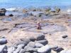 Filename=Baby-Pool-Strand-Playa-Blanca-Lanzarote.JPG
Filesize=134KiB
Dimensions=690x518
Date added=Sep 25, 2011 Baby-Pool-Strand-Playa-Blanca-Lanzarote.JPG