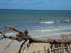 Natur-Strand-Recife-Brasilien.JPG