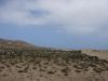 Tierwelt-Ziegen-Landschaft-Fuerteventura.JPG